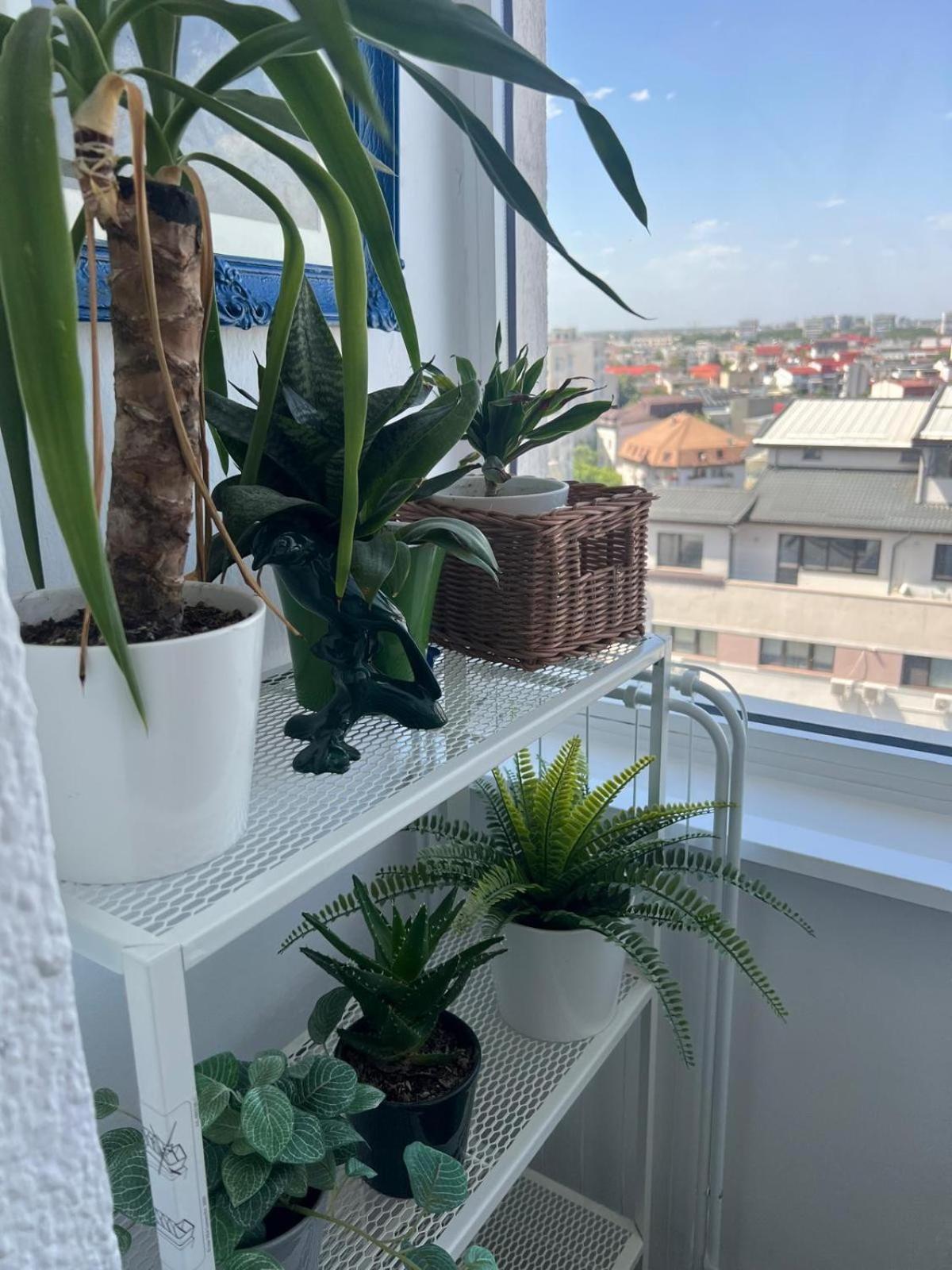 1Bdr Apartment Perla 225 Bucureşti Ngoại thất bức ảnh